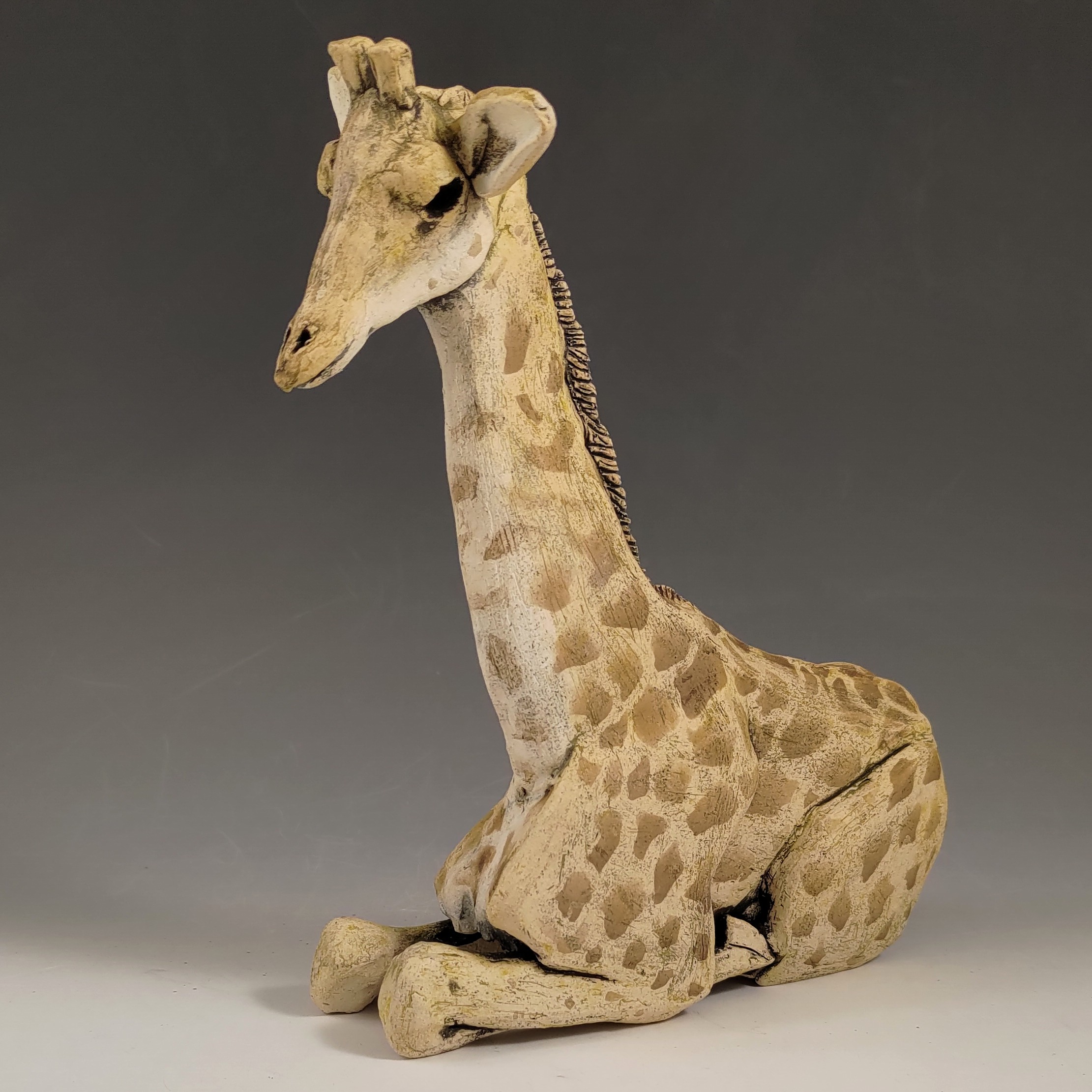 P_20250812_170131 (1)