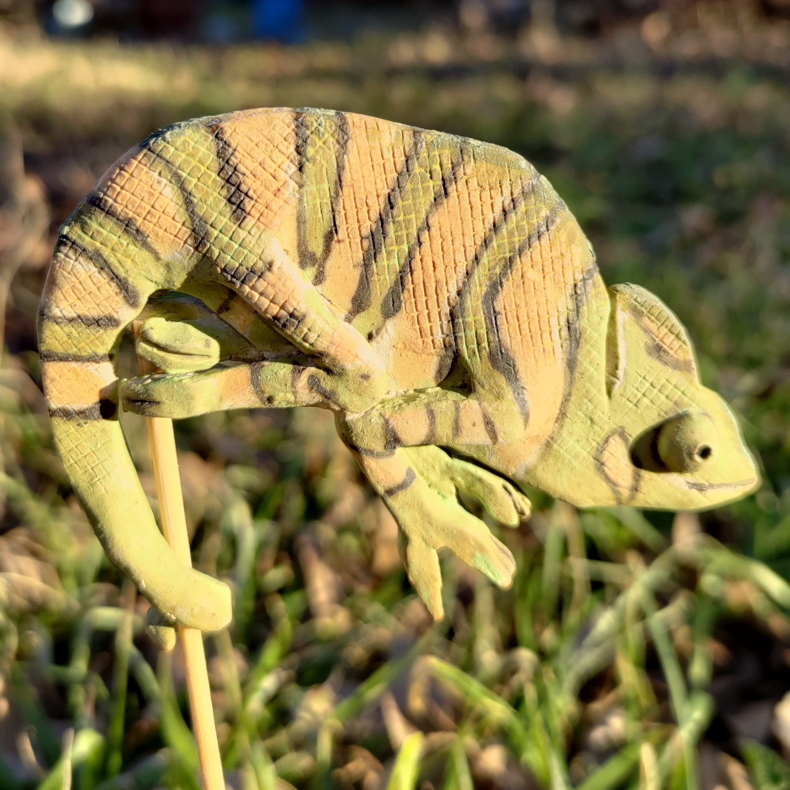 chameleon1