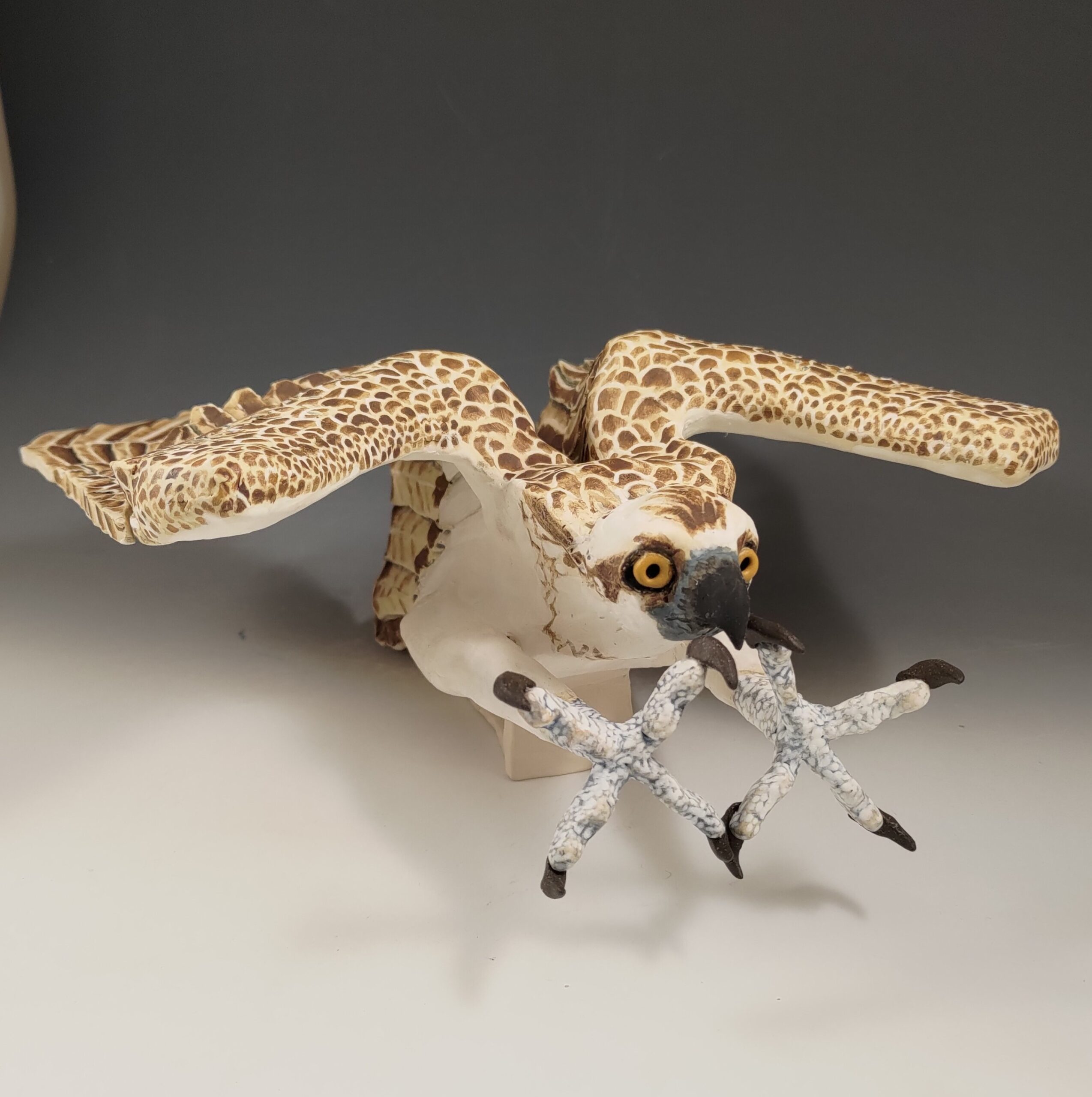 P_20251119_203856_1_1