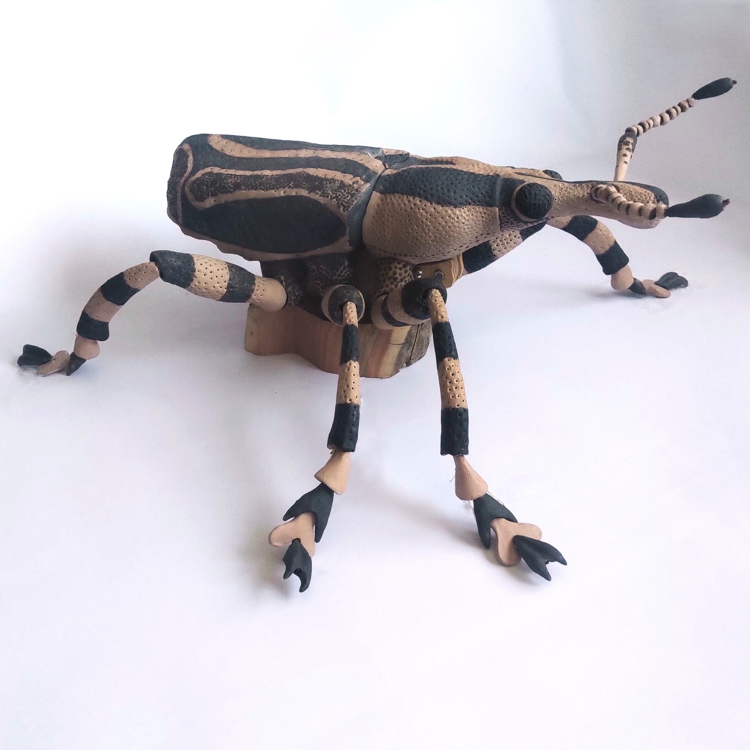 P_20260126_132443_1_1